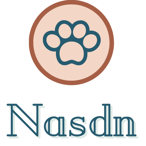 Nasdn