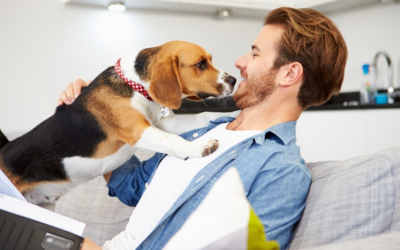 Discover the benefits of pet-sitting for you and your fur babies