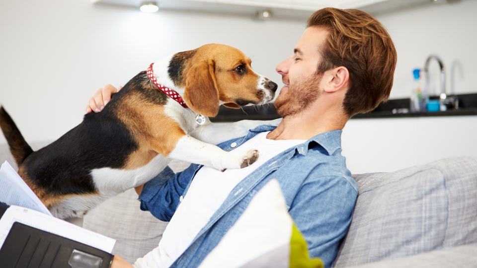 Discover the benefits of pet-sitting for you and your fur babies